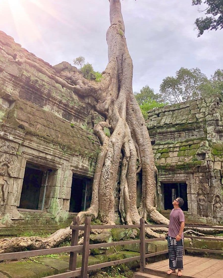 Place Ta Prohm