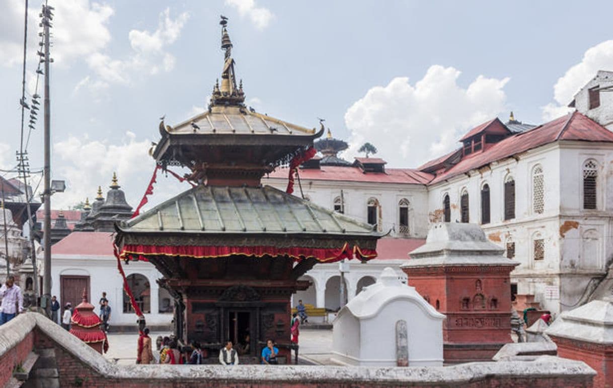 Place Pashupatinath Temple