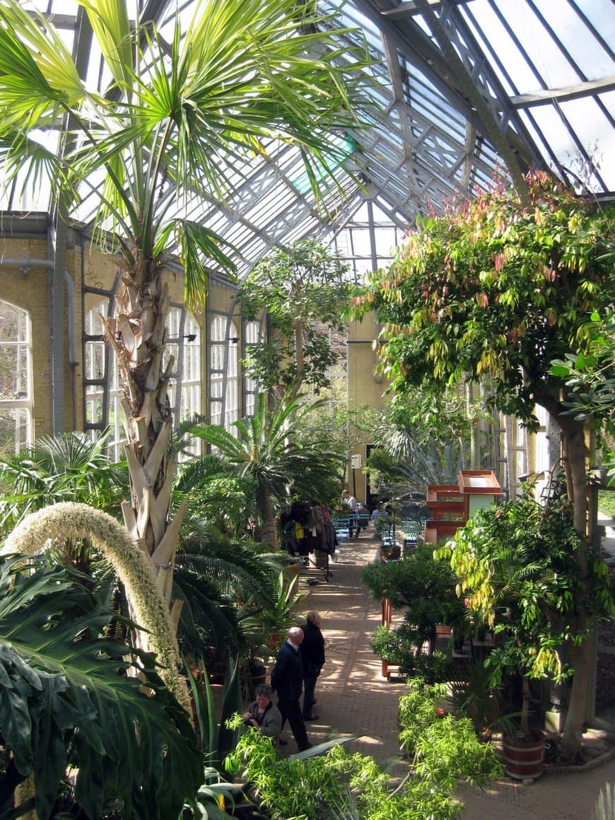 Lugar Hortus Botanicus Amsterdam