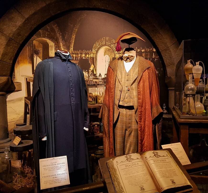 Place Harry Potter: the exhibition