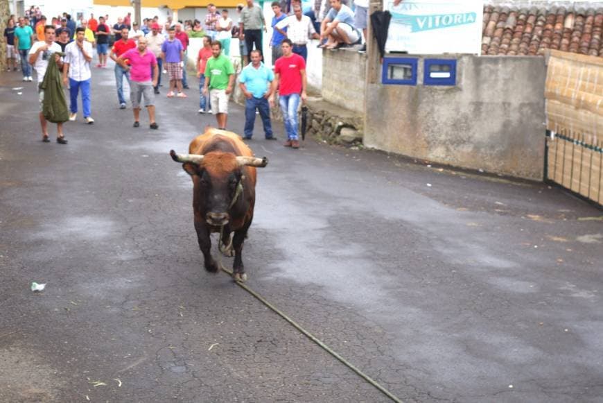 Place Feteira