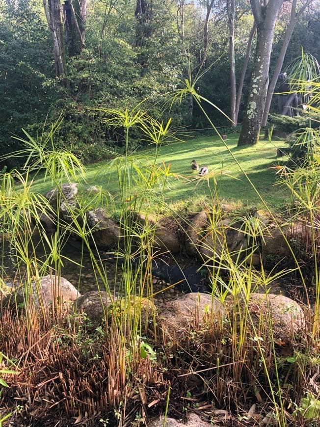 Lugar Parque Gulbenkian