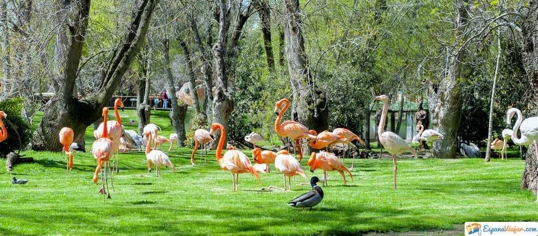 Lugar Zoo Aquarium de Madrid