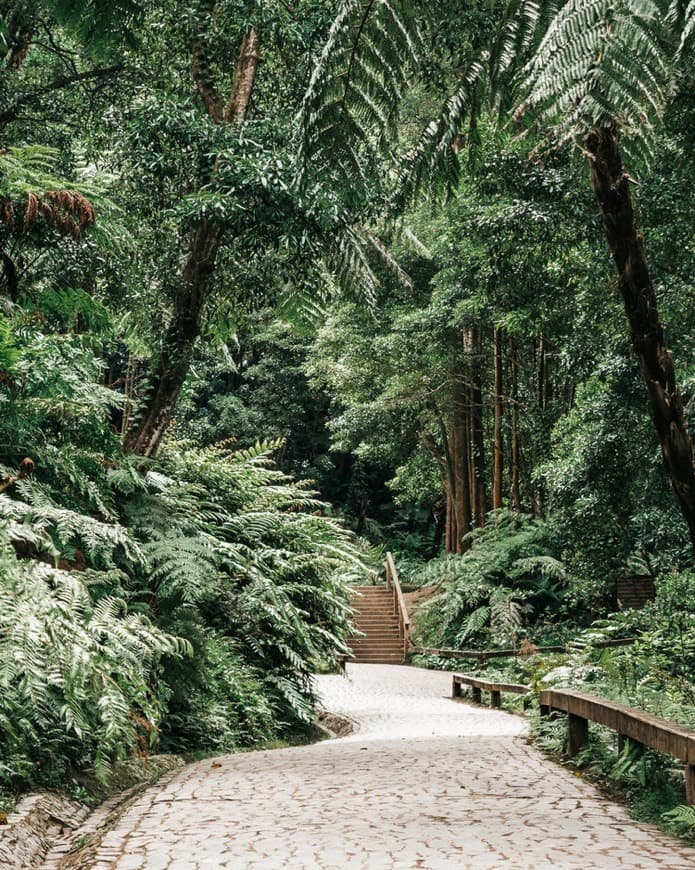 Lugar Centro de Interpretação Ambiental da Caldeira Velha