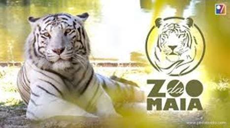 Place Zoo da Maia