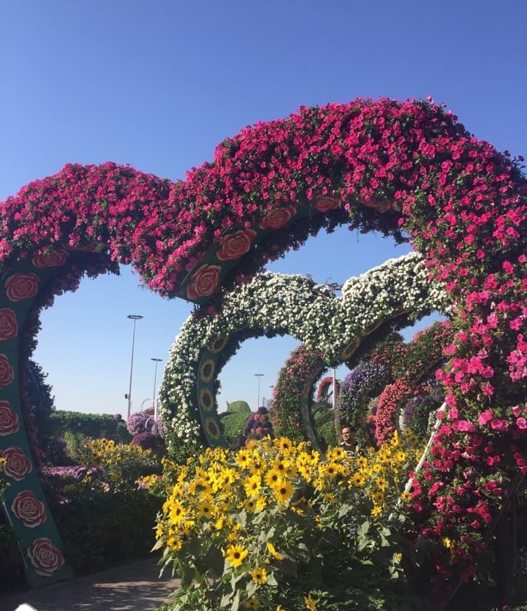 Lugar Miracle Garden