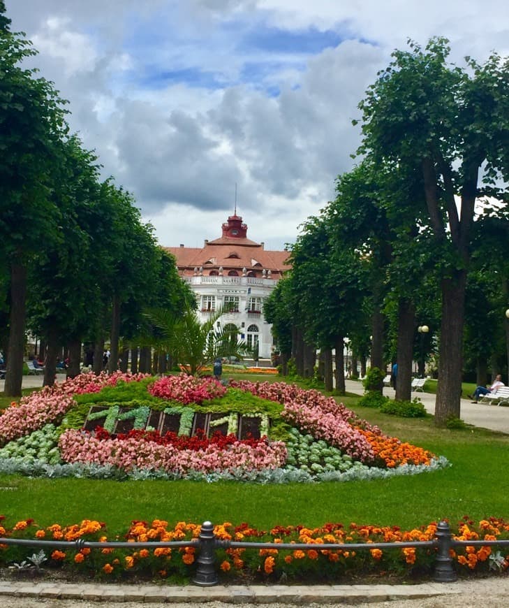 Place Centrum pro zdravotně postižené Karlovarského kraje, o.p.s.