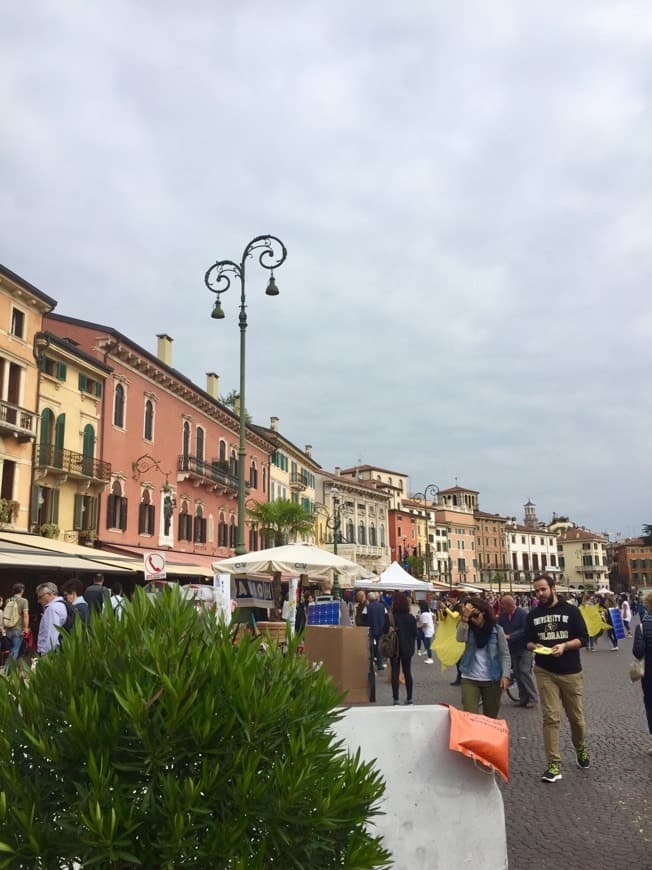 Place Verona Arena