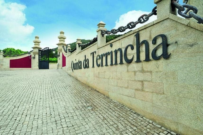 Lugar Quinta Da Terrincha