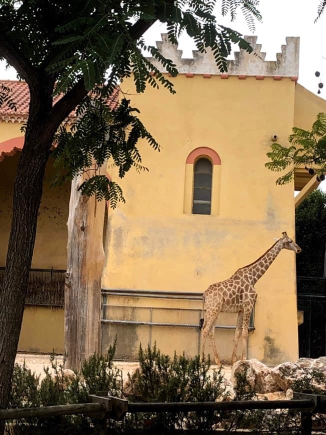 Place Jardim Zoológico de Lisboa