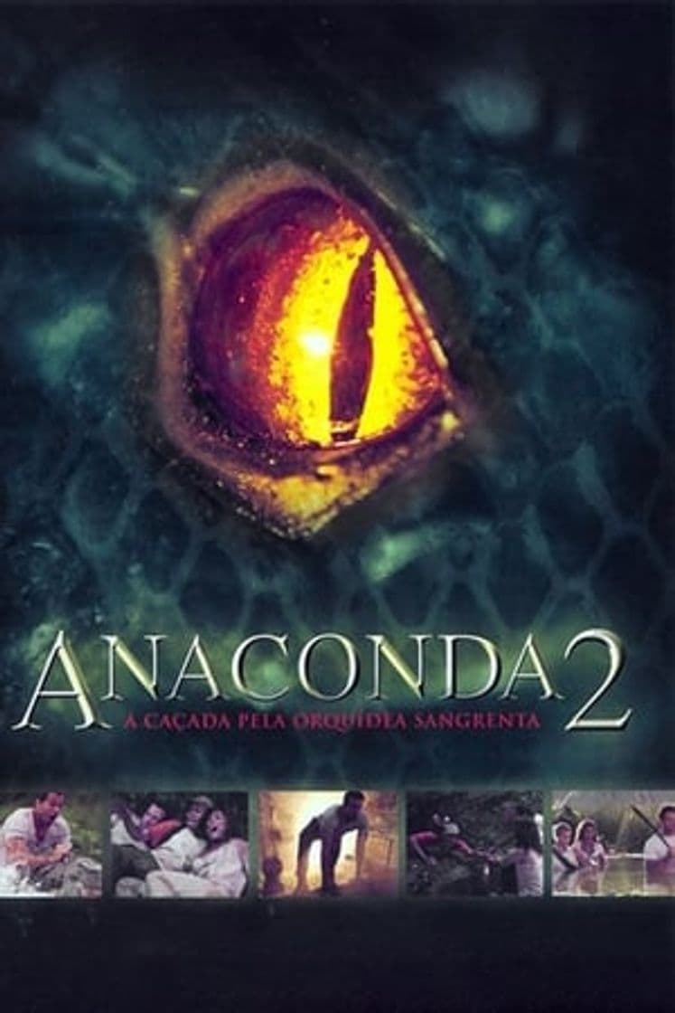 Movie Anacondas: The Hunt for the Blood Orchid