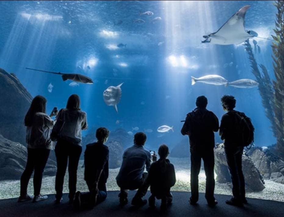 Place Oceanário de Lisboa