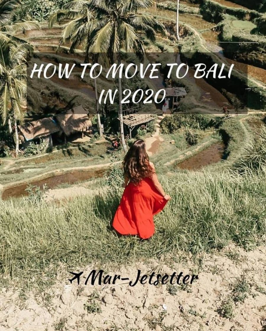 Libro mar_jetsetter | Travel & Lifestyle Blog