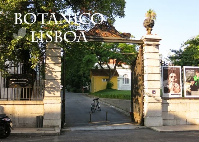 Place Jardín Botánico de la Universidad de Lisboa