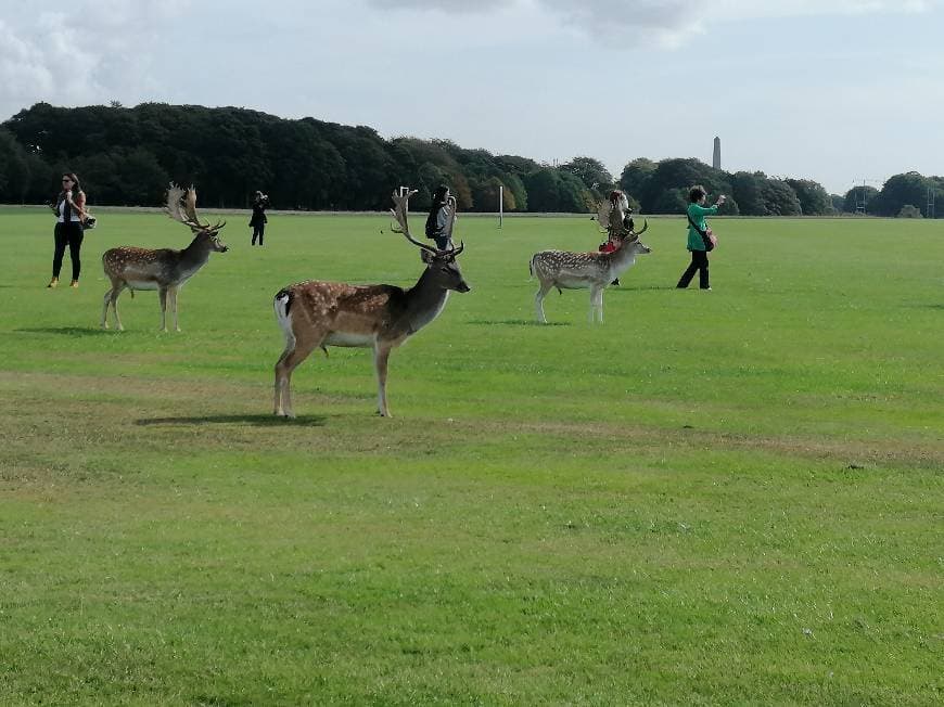 Place Phoenix Park