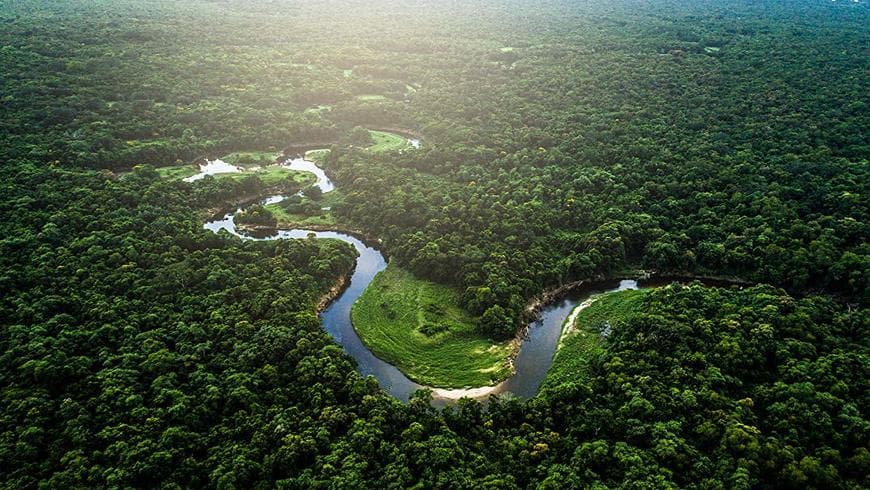 Lugar Amazonia