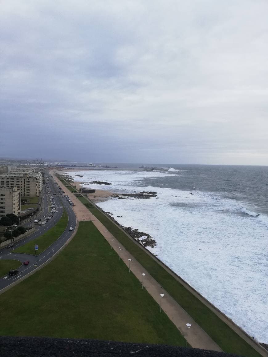 Restaurantes Leça da Palmeira