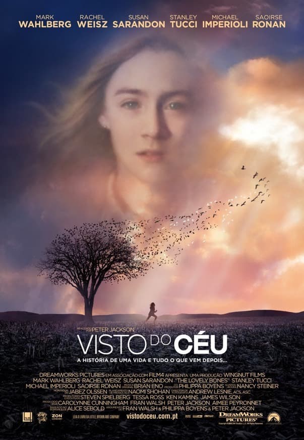 Libro Visto do céu 