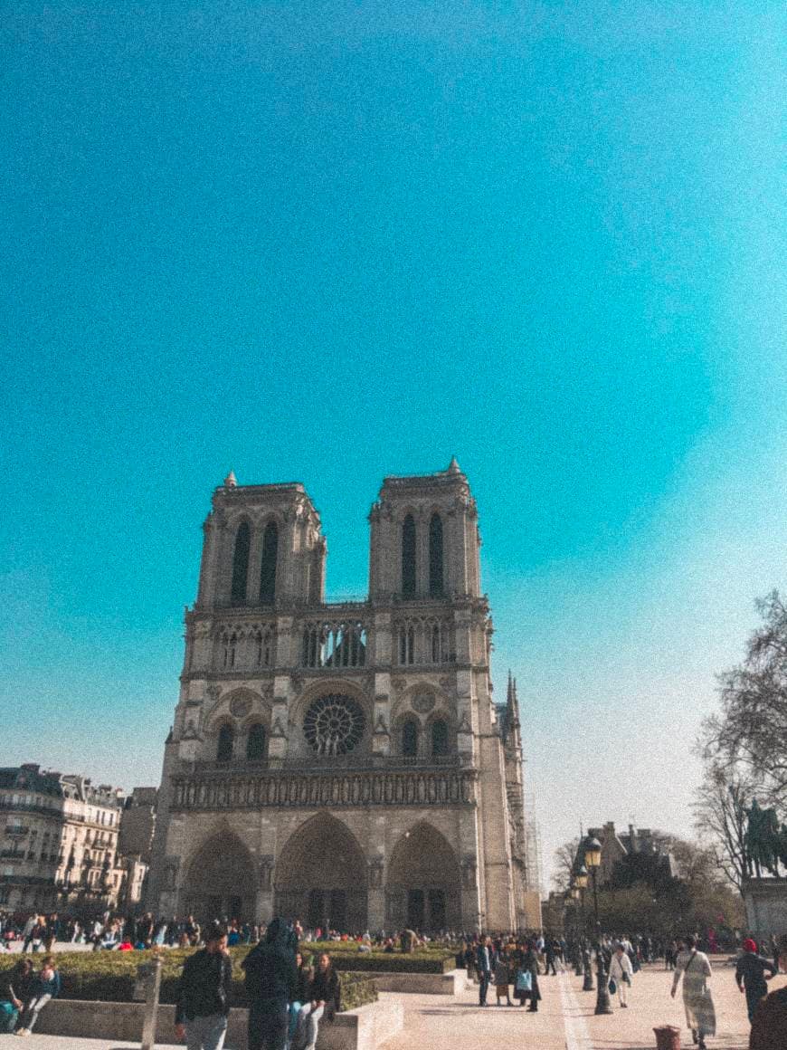 Place Notre Dame