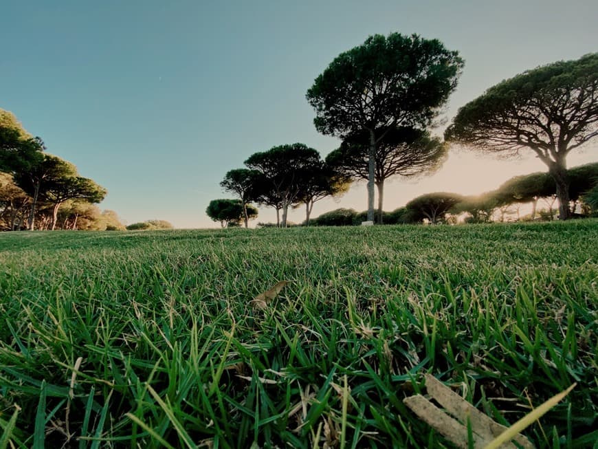 Lugar Quinta do Lago