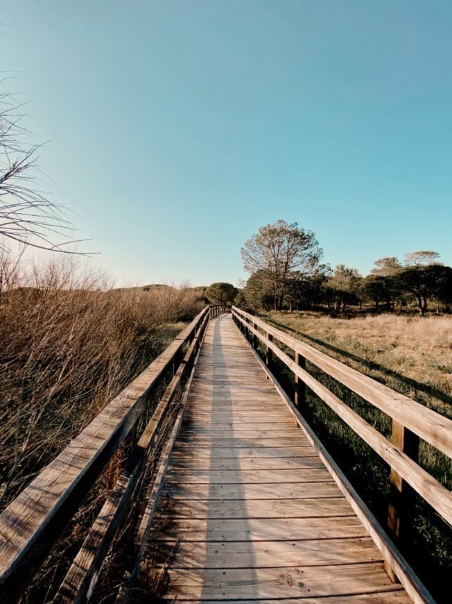 Lugar Ria Formosa