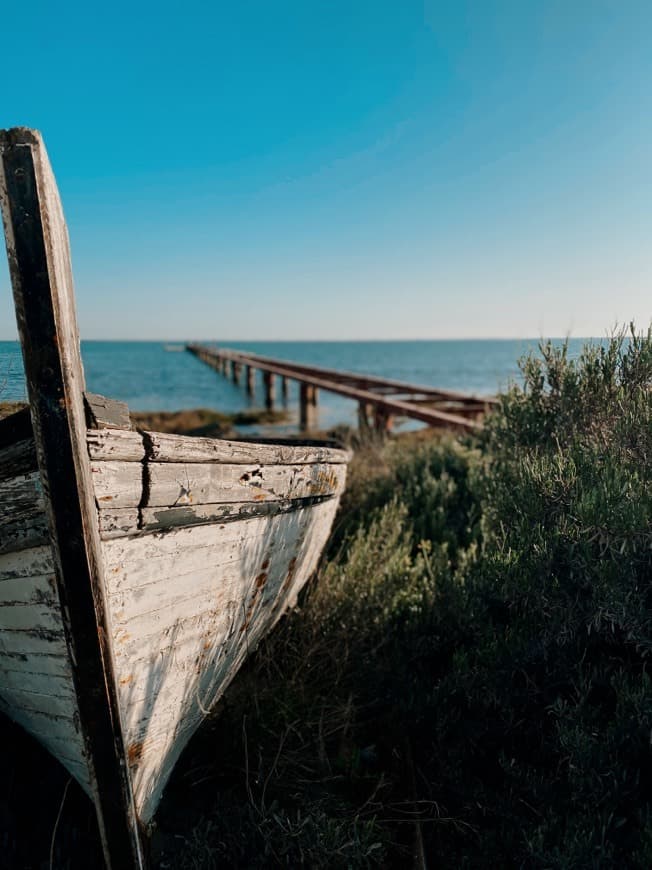 Place Ria Formosa Natural Park Quinta do Marim