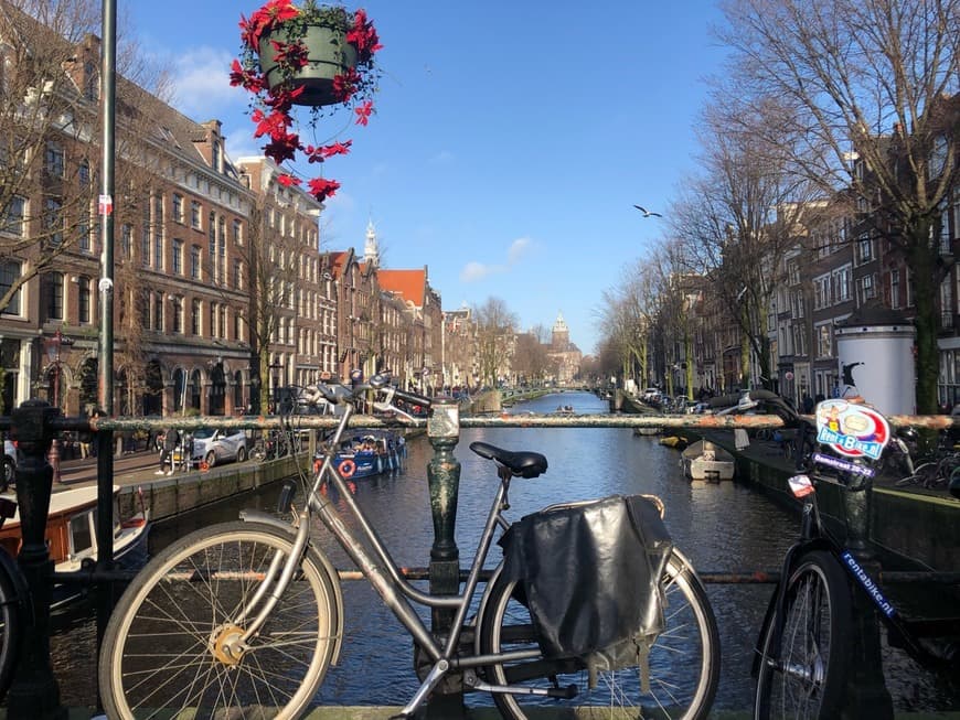 Place Barrio rojo de Ámsterdam