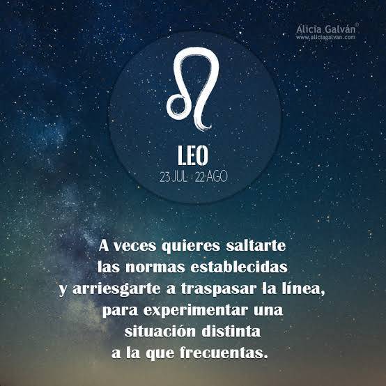 Libro Leo