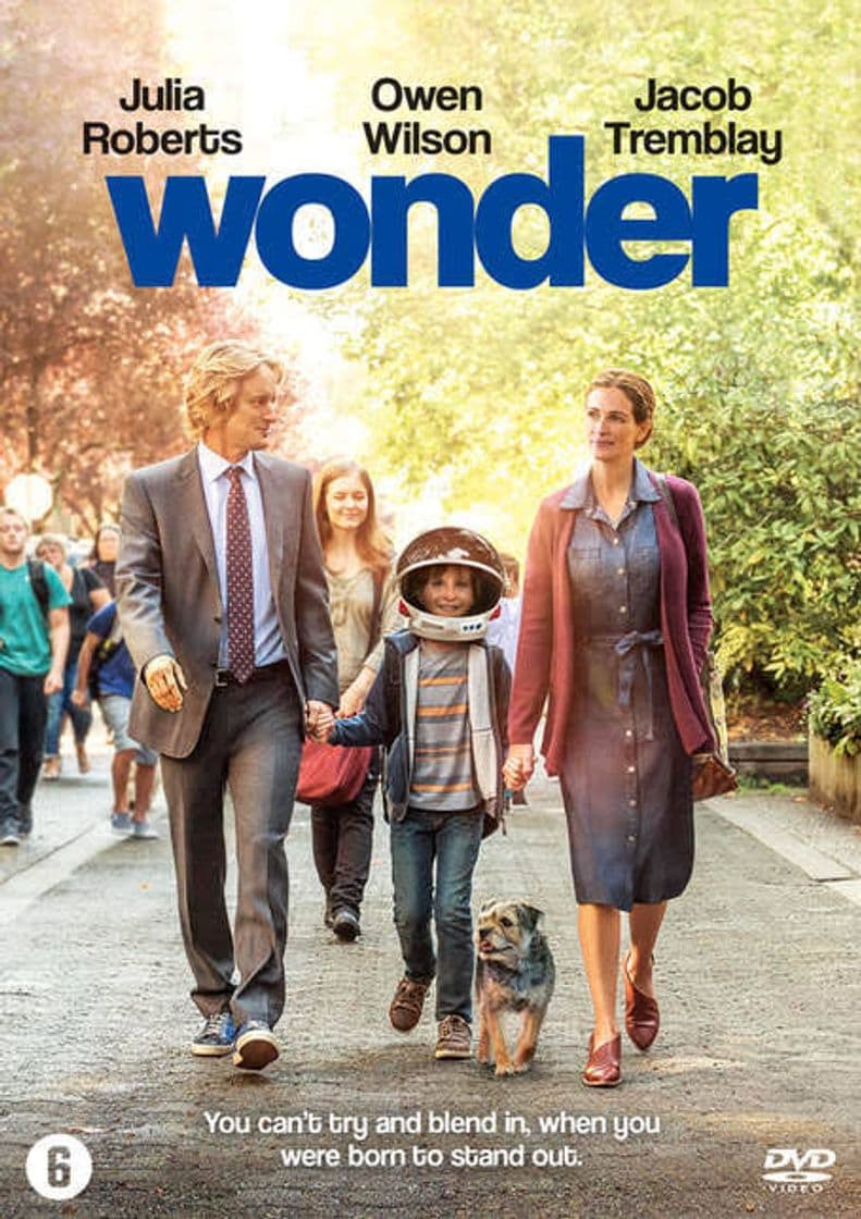 Movie Wonder