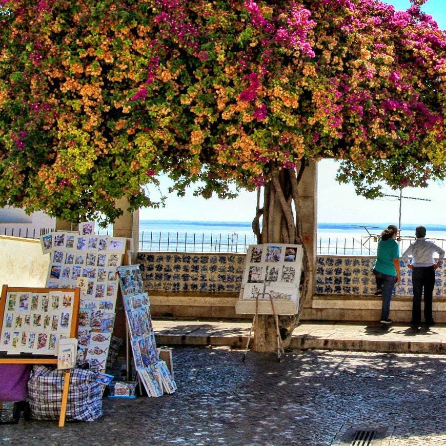 Lugar Miradouro de Santa Luzia