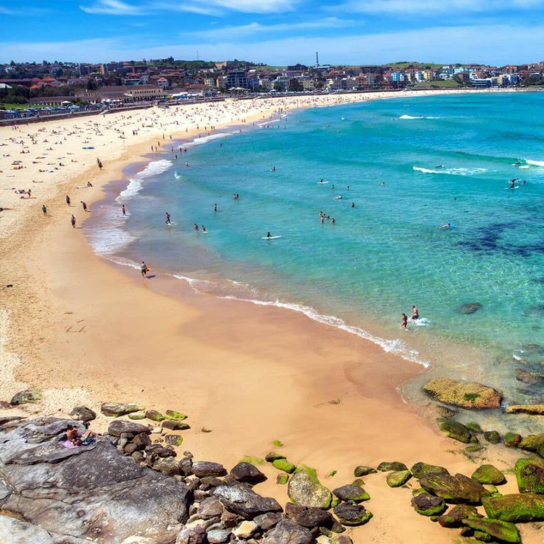 Place Bondi Beach