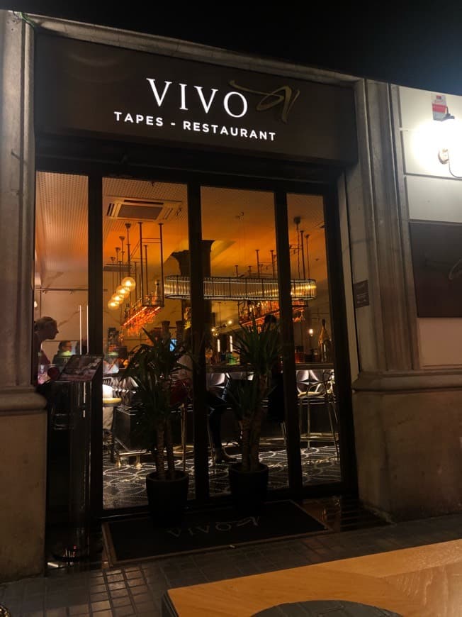 Restaurants Vivo