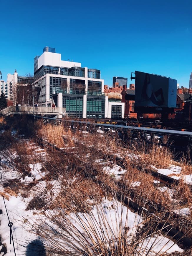 Place The High Line