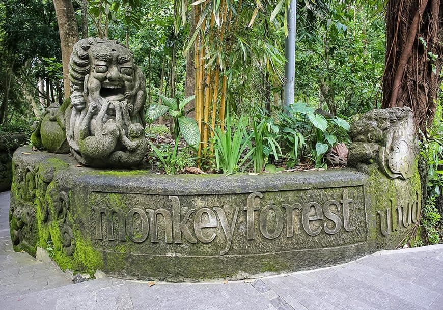 Lugar Monkey forest entrance