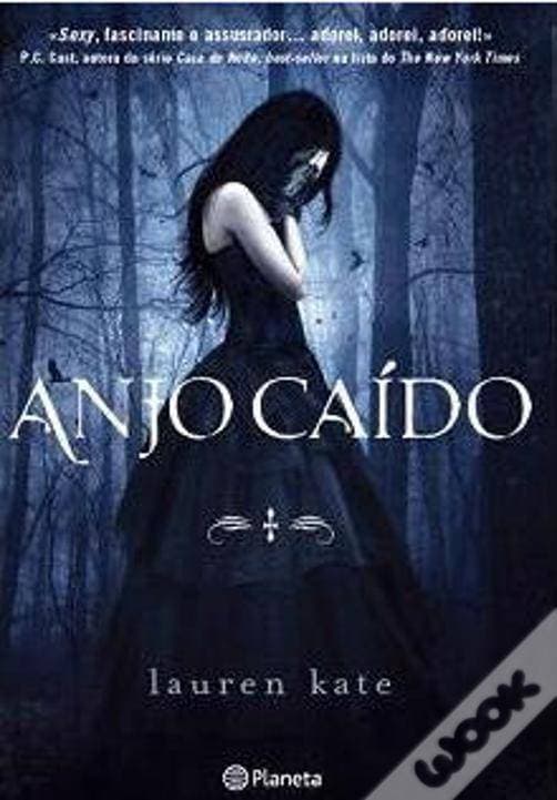 Libro Anjo Caído 