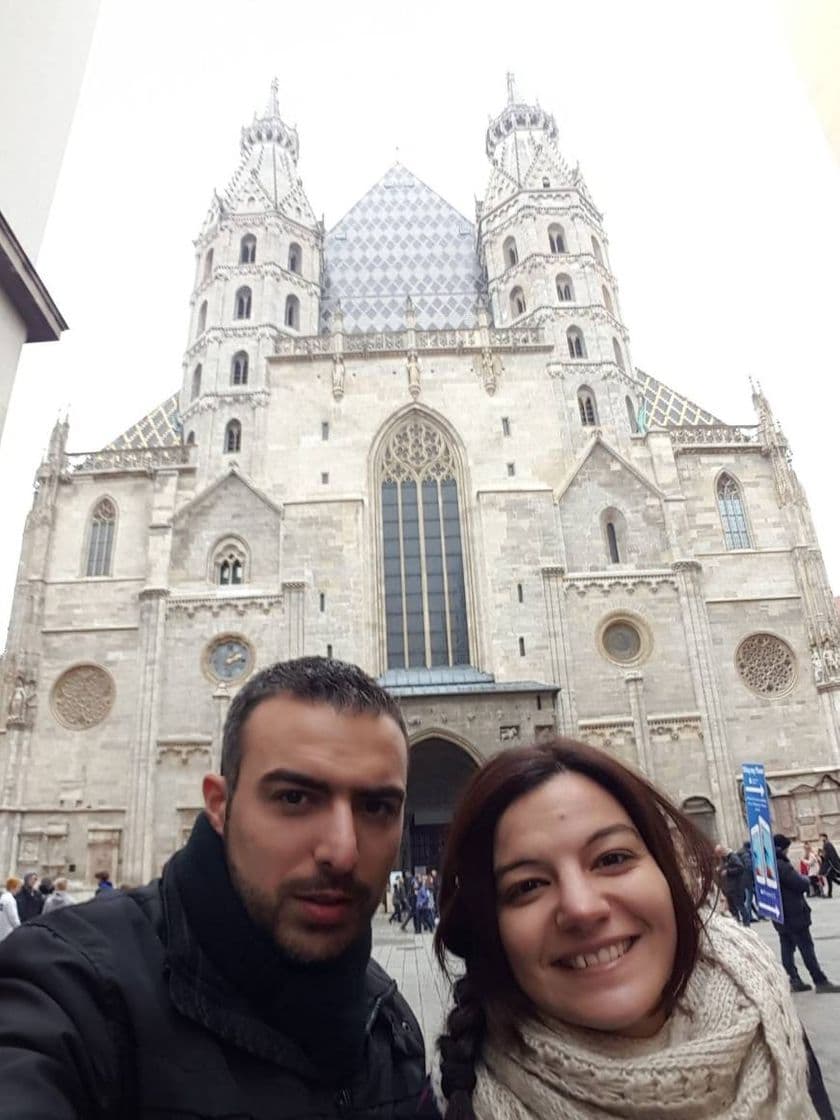 Lugar Catedral de Viena