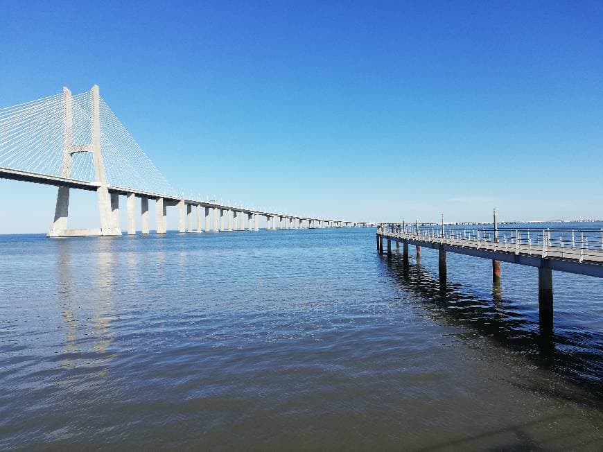 Lugar Parque Tejo