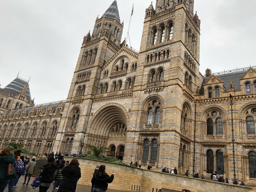 Place Natural History Museum