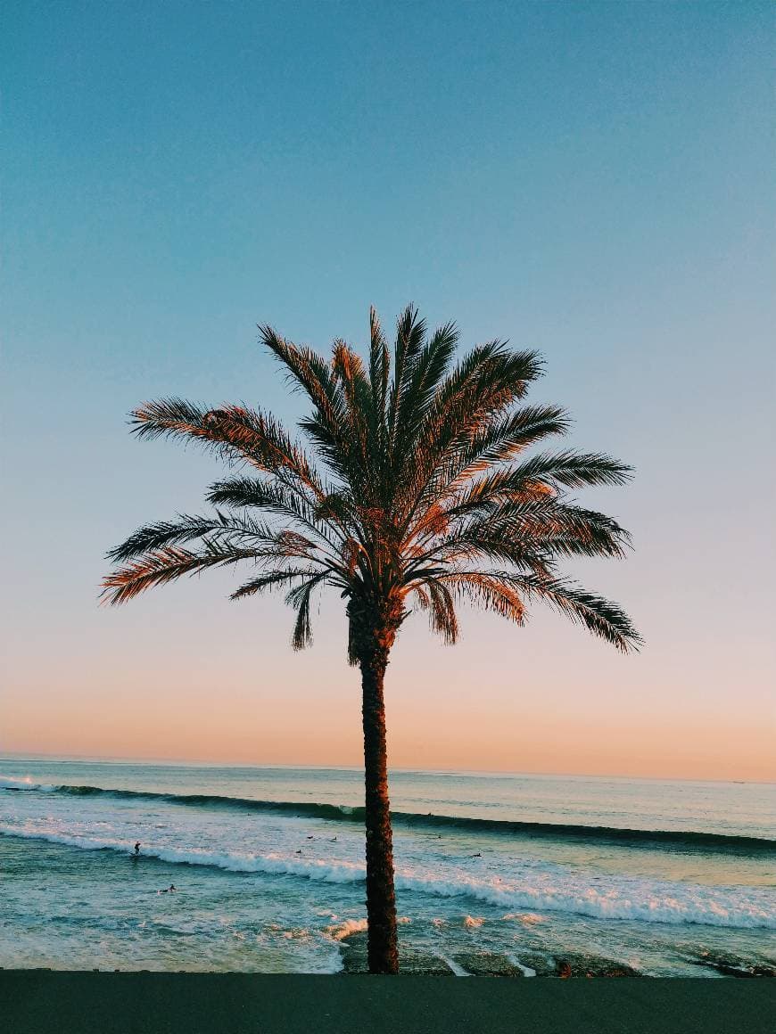 Lugar Praia da Poça