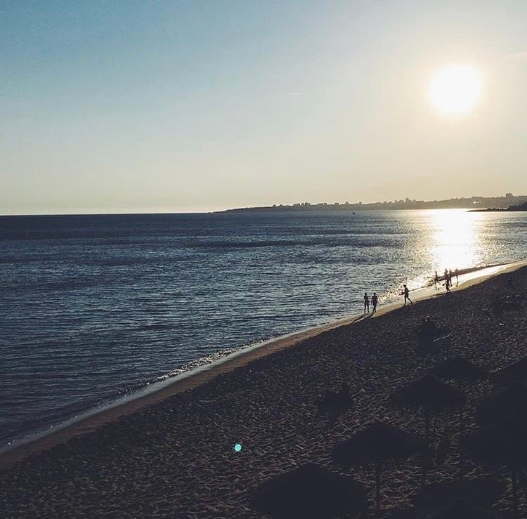 Lugar Praia das Avencas