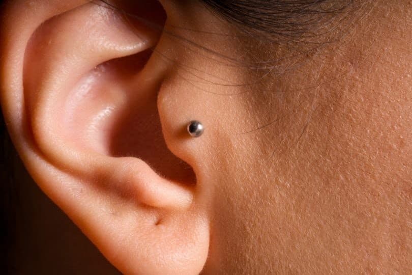 Product TRAGUS PIERCING