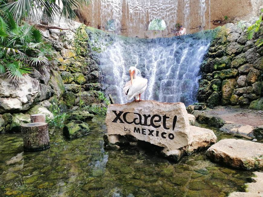 Lugar Xcaret