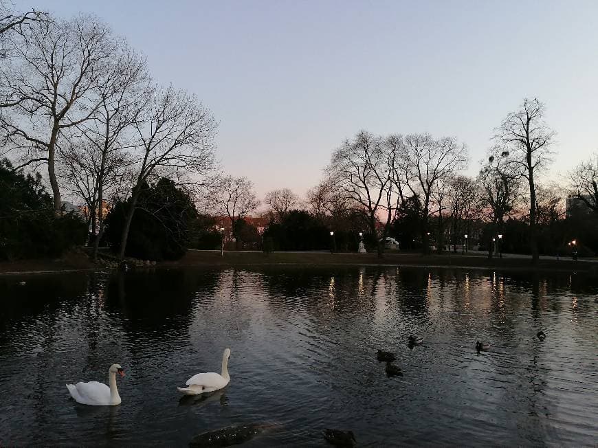 Place Stadtpark