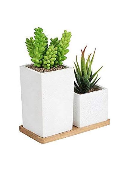 Producto 2 Piece Plant Decoration 