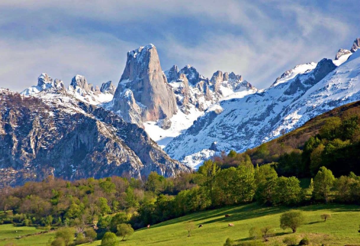 Lugar Picos de Europa