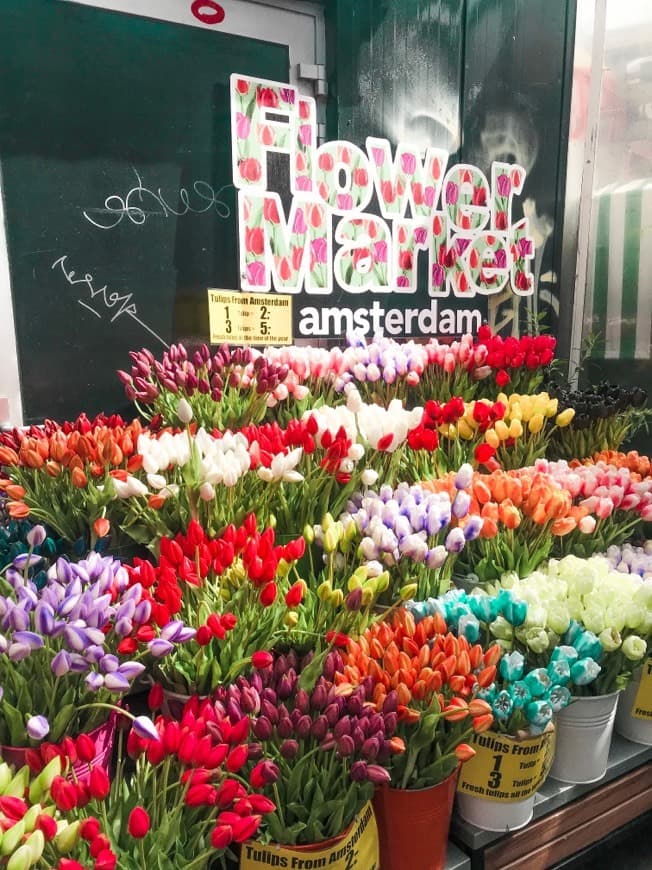 Place Flower Market