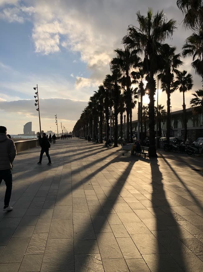 Lugar Passeig Marítim de la Barceloneta