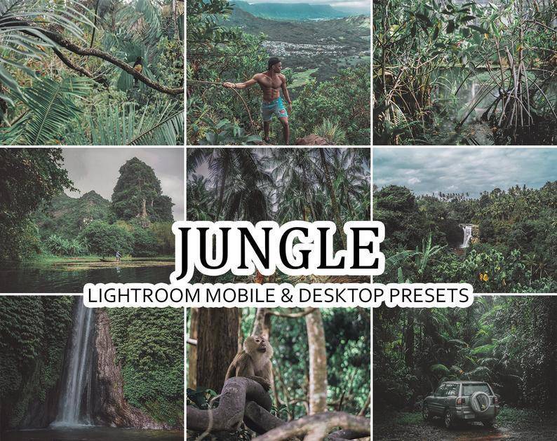 Producto JUNGLE