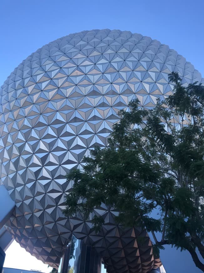 Place Epcot