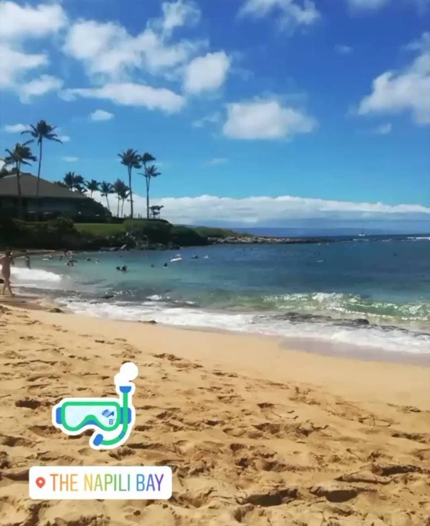 Place Napili Bay